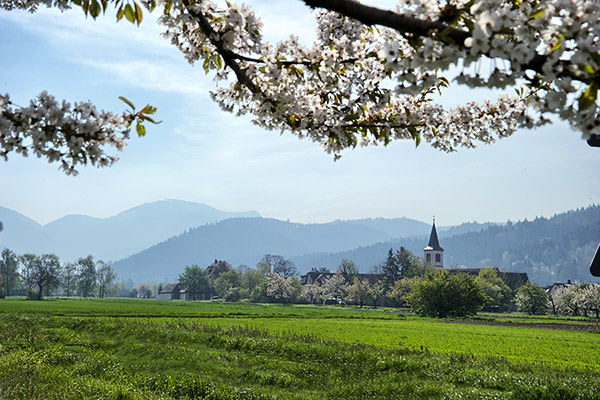 Blick über Grunern auf den Belchen (1414 m)