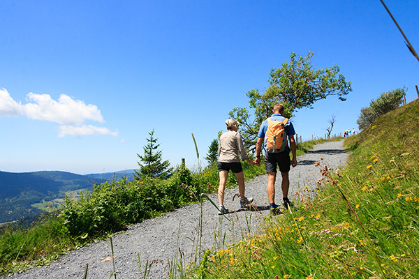 Wandern im Südschwarzwald